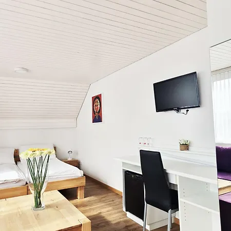 Hotel Landgasthof Zum Zimmermann - Rapperswil