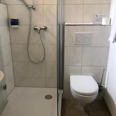 Hotel Landgasthof Zum Zimmermann - Rapperswil *