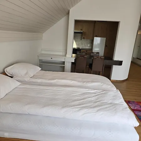 Hotel Landgasthof Zum Zimmermann - Rapperswil