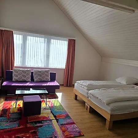 Hotel Landgasthof Zum Zimmermann - Rapperswil Jona