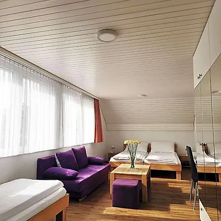 Hotel Landgasthof Zum Zimmermann - Rapperswil