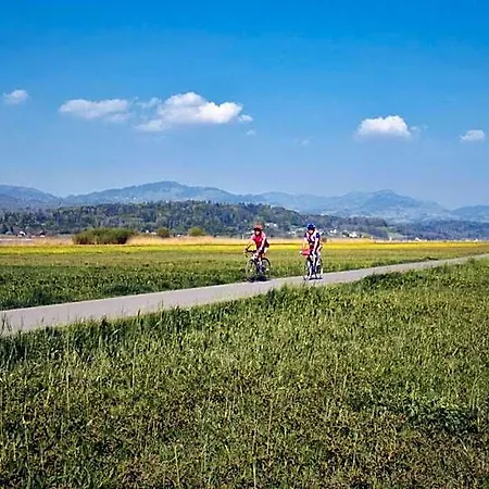 Landgasthof Zum Zimmermann - Rapperswil *