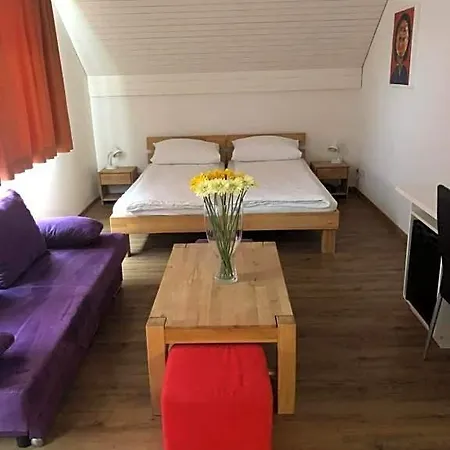 Hotel Landgasthof Zum Zimmermann - Rapperswil Jona