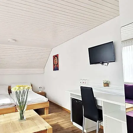 Landgasthof Zum Zimmermann - Rapperswil Hotel *