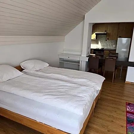 Hotel Landgasthof Zum Zimmermann - Rapperswil *