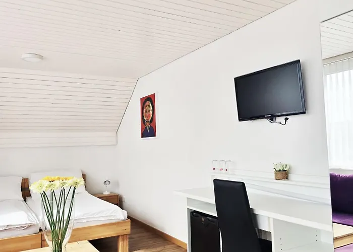 Hotel Landgasthof Zum Zimmermann - Rapperswil