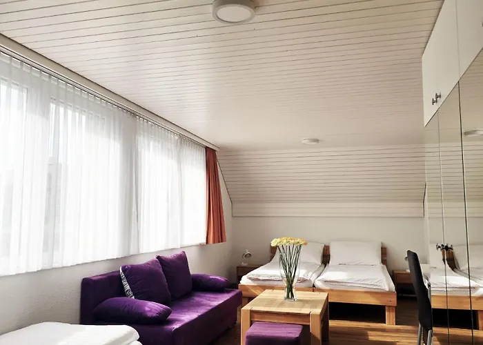 Hotel Landgasthof Zum Zimmermann - Rapperswil Jona