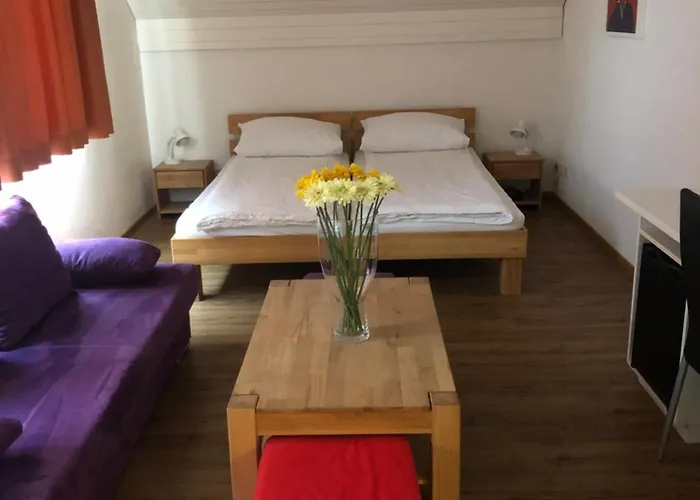 Landgasthof Zum Zimmermann - Rapperswil Hotel Jona