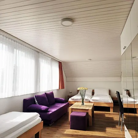 فندق Landgasthof Zum Zimmermann - Rapperswil Jona