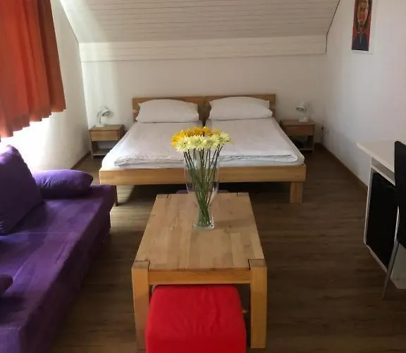 Landgasthof Zum Zimmermann - Rapperswil Hotel Jona